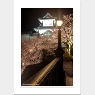 Kenrokuen Garden With Sakura Night Shot Photo Posters and Art